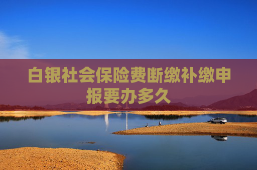 白银社会保险费断缴补缴申报要办多久