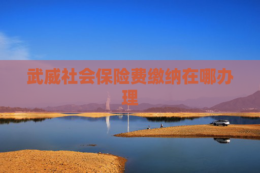 武威社会保险费缴纳在哪办理