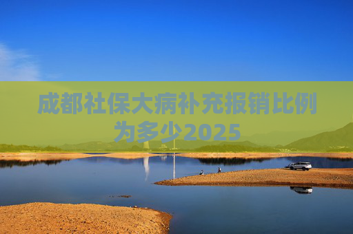 成都社保大病补充报销比例为多少2025