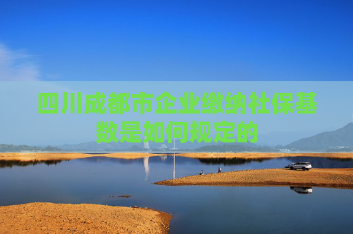 四川成都市企业缴纳社保基数是如何规定的