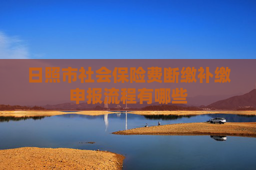 日照市社会保险费断缴补缴申报流程有哪些