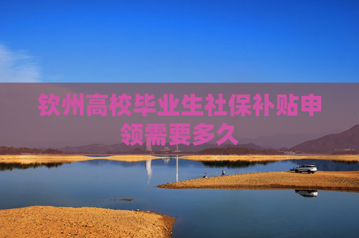 钦州高校毕业生社保补贴申领需要多久