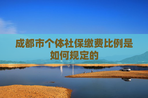 成都市个体社保缴费比例是如何规定的