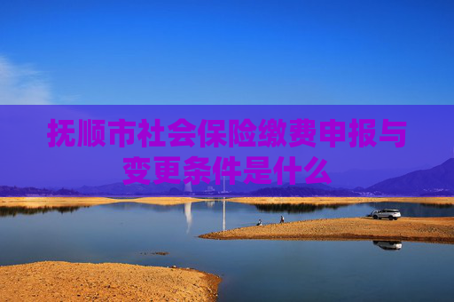 抚顺市社会保险缴费申报与变更条件是什么