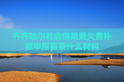 齐齐哈尔社会保险费欠费补缴申报需要什么材料