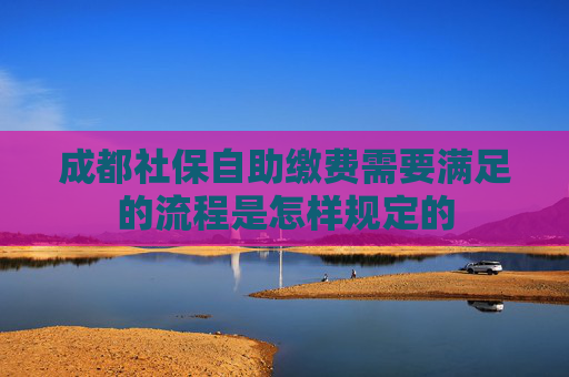 成都社保自助缴费需要满足的流程是怎样规定的