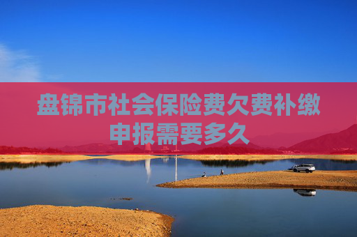 盘锦市社会保险费欠费补缴申报需要多久