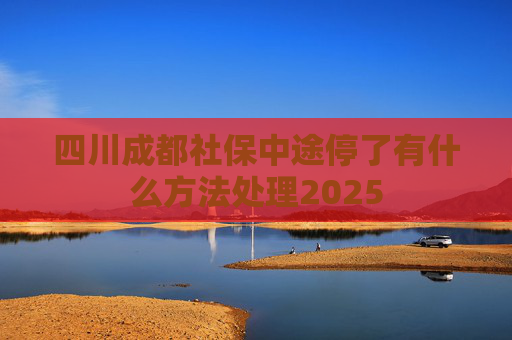四川成都社保中途停了有什么方法处理2025