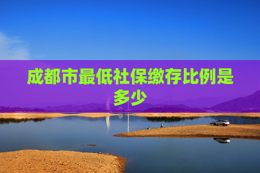 成都市最低社保缴存比例是多少