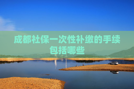 成都社保一次性补缴的手续包括哪些