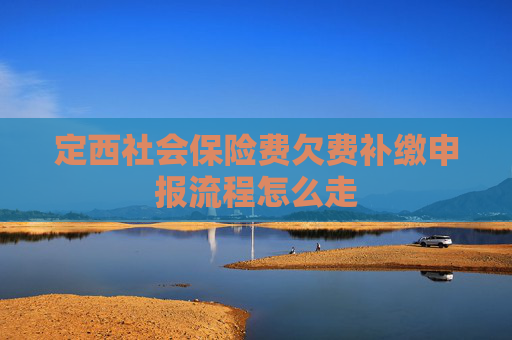 定西社会保险费欠费补缴申报流程怎么走