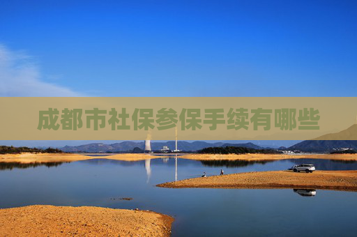 成都市社保参保手续有哪些