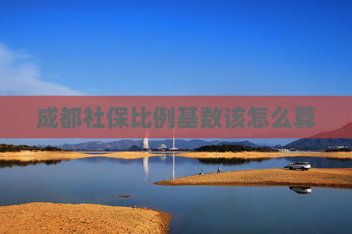 成都社保比例基数该怎么算