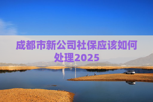 成都市新公司社保应该如何处理2025