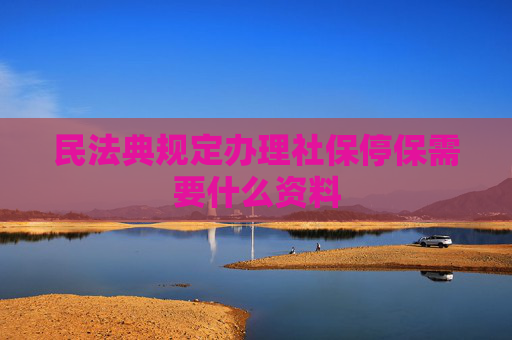 民法典规定办理社保停保需要什么资料