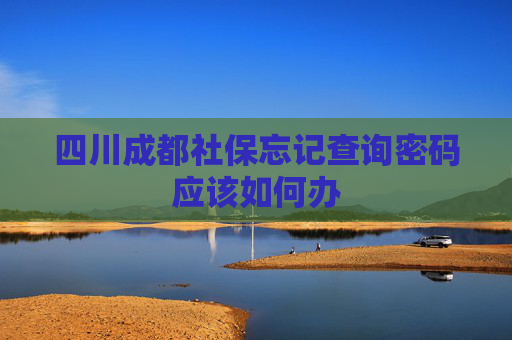 四川成都社保忘记查询密码应该如何办