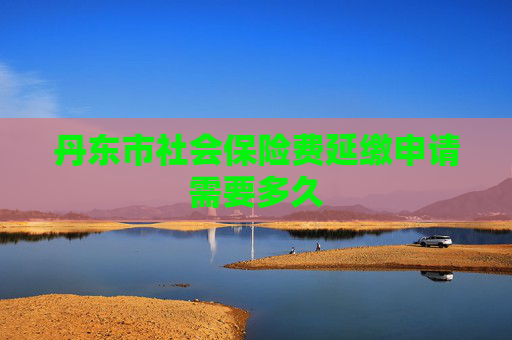 丹东市社会保险费延缴申请需要多久