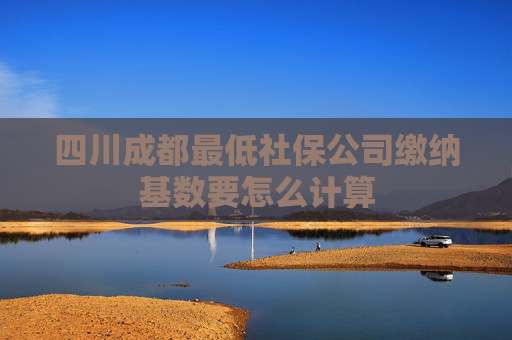 四川成都最低社保公司缴纳基数要怎么计算