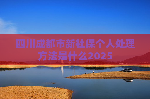 四川成都市新社保个人处理方法是什么2025