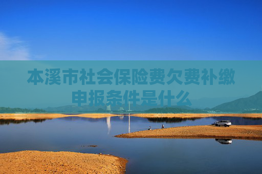 本溪市社会保险费欠费补缴申报条件是什么