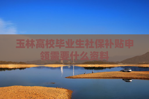 玉林高校毕业生社保补贴申领需要什么资料