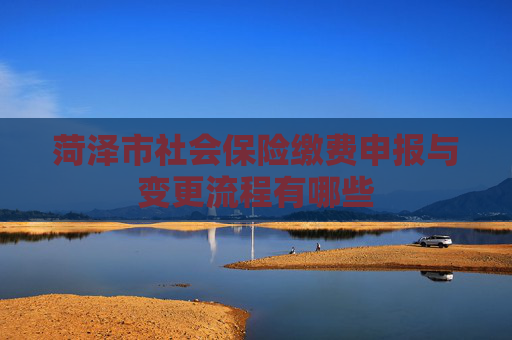 菏泽市社会保险缴费申报与变更流程有哪些