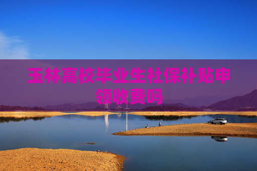 玉林高校毕业生社保补贴申领收费吗
