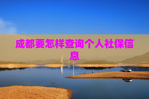 成都要怎样查询个人社保信息