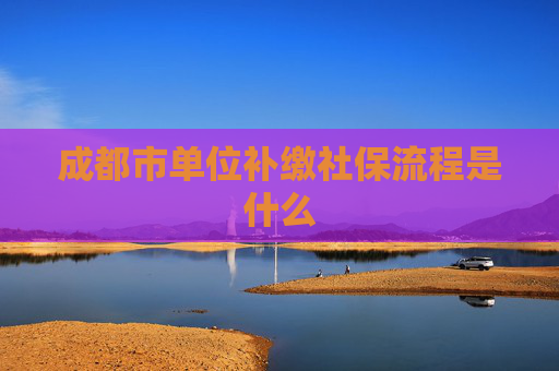成都市单位补缴社保流程是什么