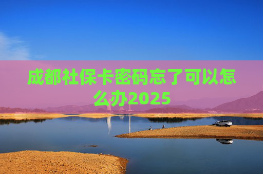 成都社保卡密码忘了可以怎么办2025