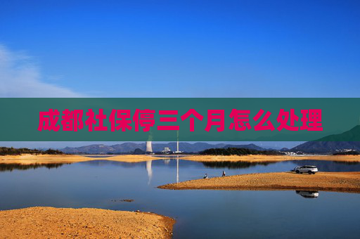 成都社保停三个月怎么处理
