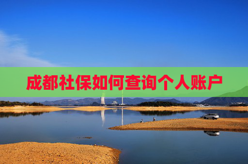 成都社保如何查询个人账户