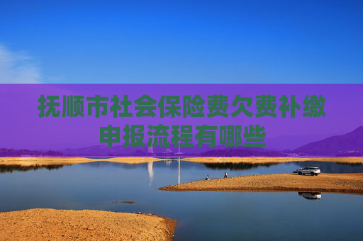 抚顺市社会保险费欠费补缴申报流程有哪些