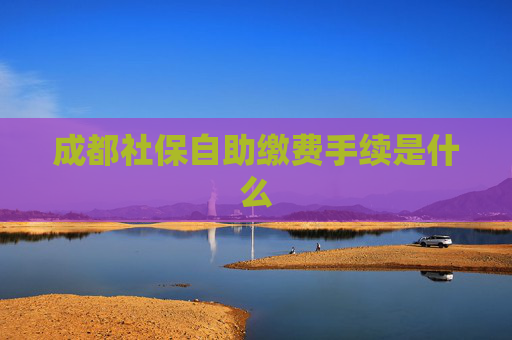 成都社保自助缴费手续是什么