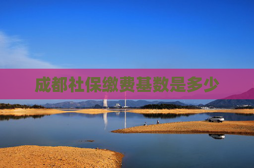 成都社保缴费基数是多少