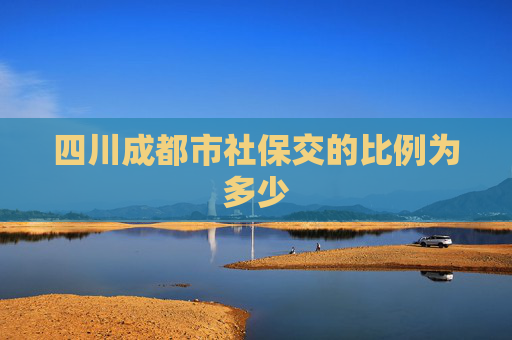 四川成都市社保交的比例为多少