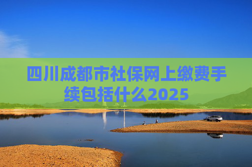 四川成都市社保网上缴费手续包括什么2025
