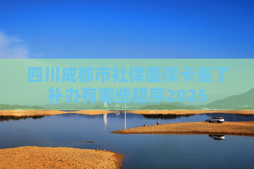 四川成都市社保医保卡丢了补办有哪些程序2025