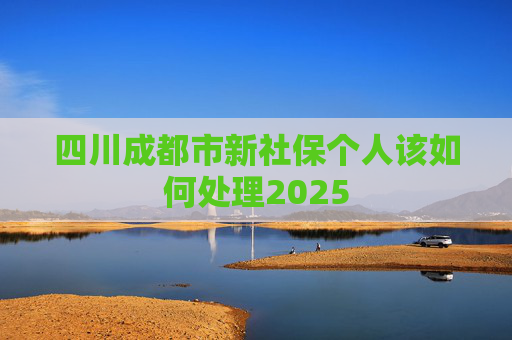 四川成都市新社保个人该如何处理2025