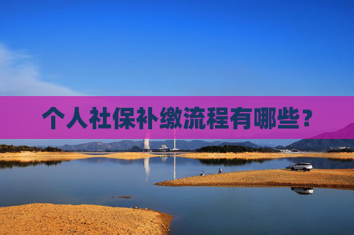 个人社保补缴流程有哪些？