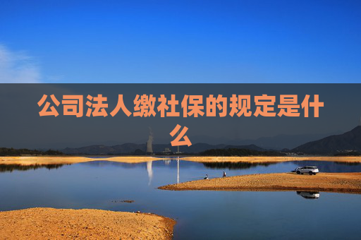 公司法人缴社保的规定是什么