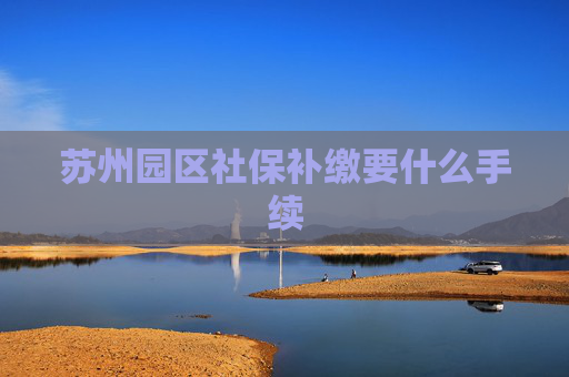 苏州园区社保补缴要什么手续