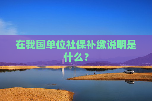 在我国单位社保补缴说明是什么？