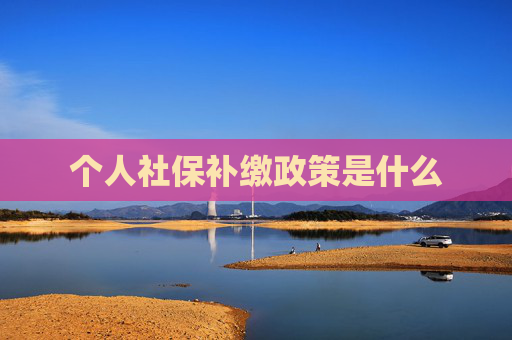 个人社保补缴政策是什么