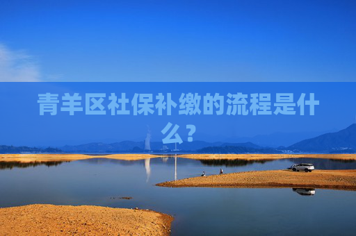 青羊区社保补缴的流程是什么？