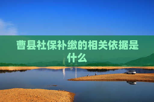 曹县社保补缴的相关依据是什么