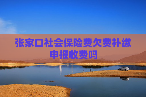 张家口社会保险费欠费补缴申报收费吗