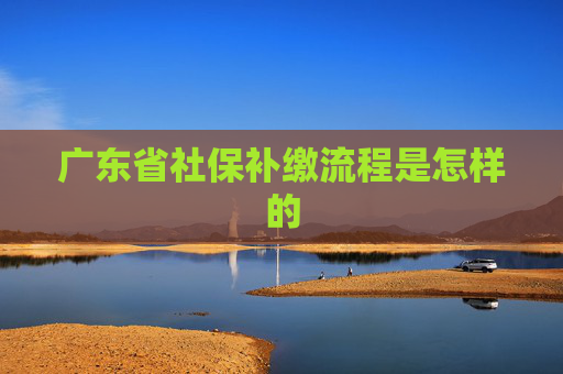 广东省社保补缴流程是怎样的