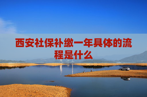 西安社保补缴一年具体的流程是什么