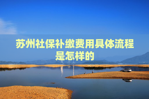 苏州社保补缴费用具体流程是怎样的
